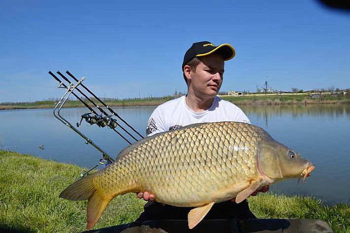 Карпфишинг010