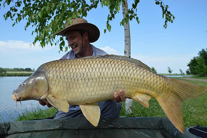 Карпфишинг014